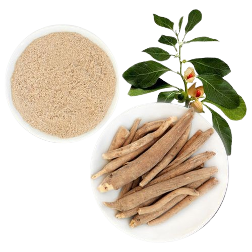 Ashwagandha Herbal Products