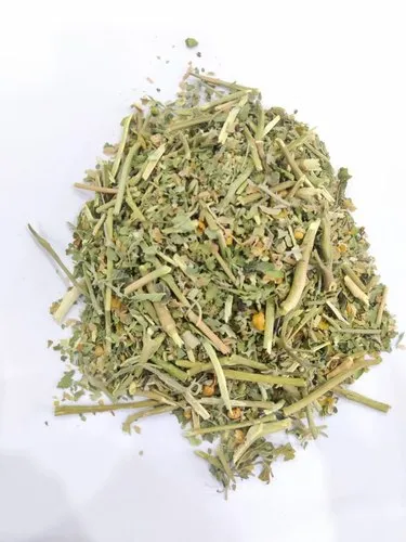 Ashwagandha Ganda Patti