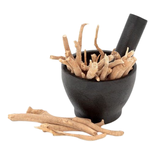 The Herbal Company Manufacturing & Processing